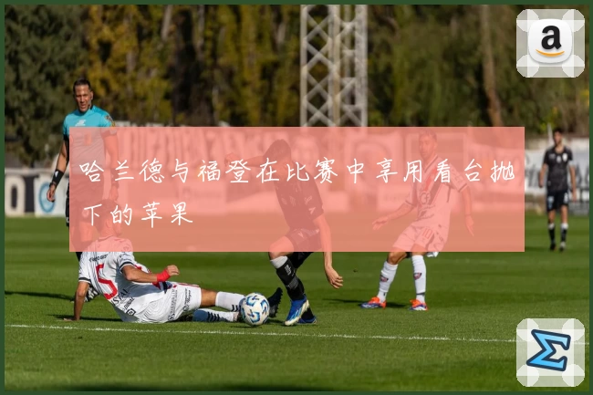 哈兰德与福登在比赛中享用看台抛下的苹果