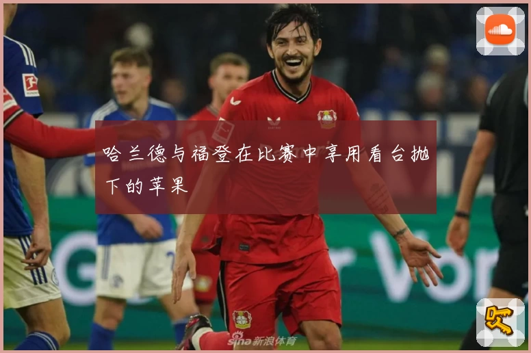 哈兰德与福登在比赛中享用看台抛下的苹果