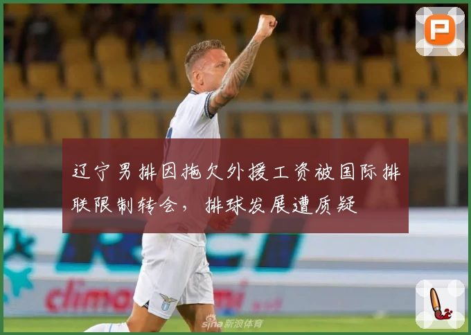 辽宁男排因拖欠外援工资被国际排联限制转会，排球发展遭质疑